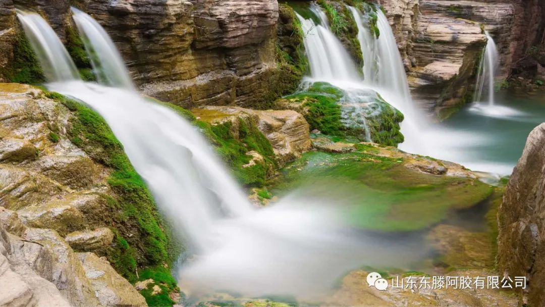 1646718831407856.jpg 1646718831407856.jpg