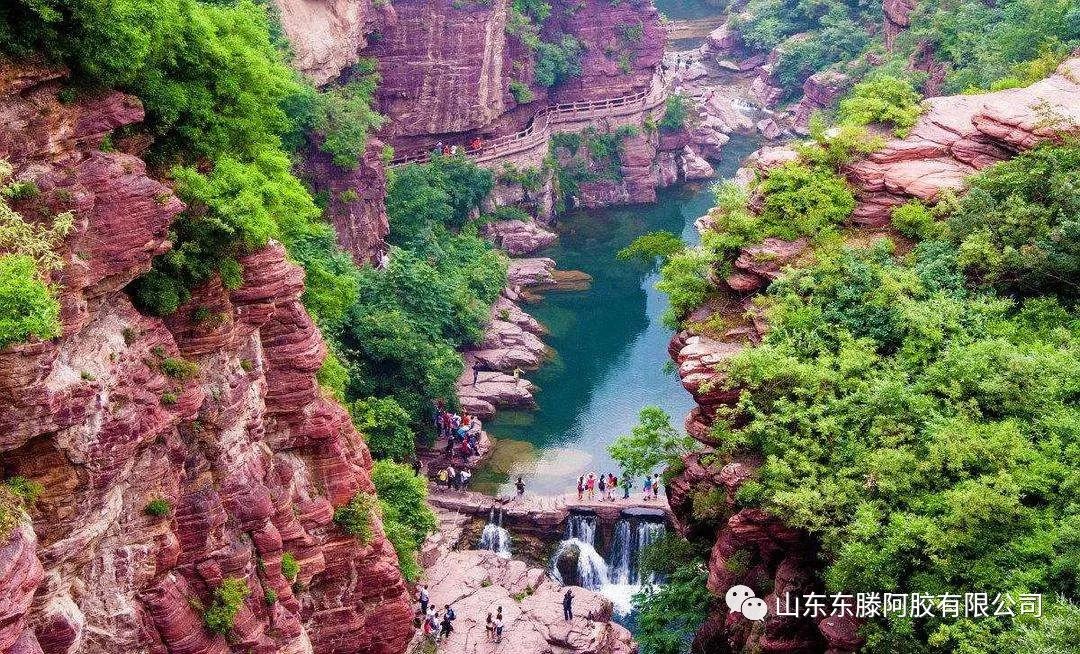 1646718859875866.jpg 1646718859875866.jpg